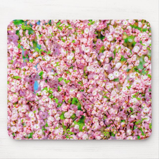 Flowering Plum Mouse Pad (Front)