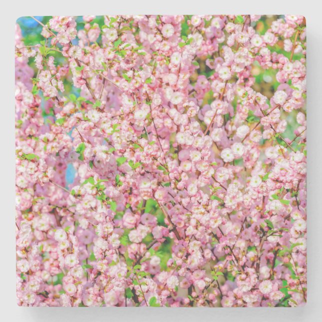 Flowering Plum Stone Coaster (Front)