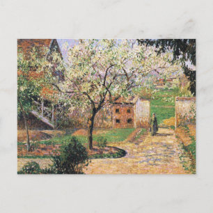 Flowering Plum Tree, Eragny Camille Pissarro   Postcard