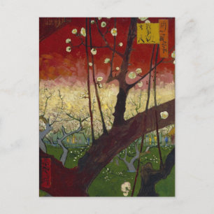Flowering plum tree Postcard