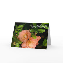 Flowering Quince 1-18  greeting card
