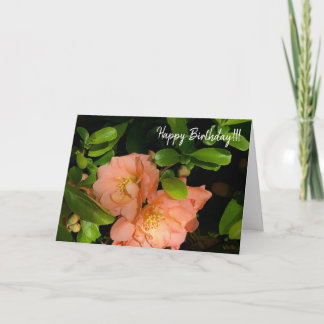 Flowering Quince 1-18  greeting card