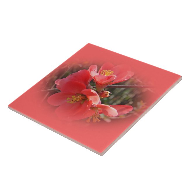 Flowering Quince Tree Tile (Side)