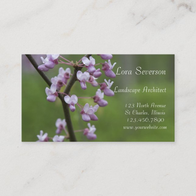 Flowering Red Bud Tree Landscape Architect Business Card (Front)