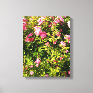 Flowering Rosarium  Canvas Print