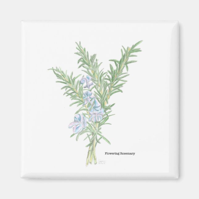 Flowering Rosemary Magnet (Front)