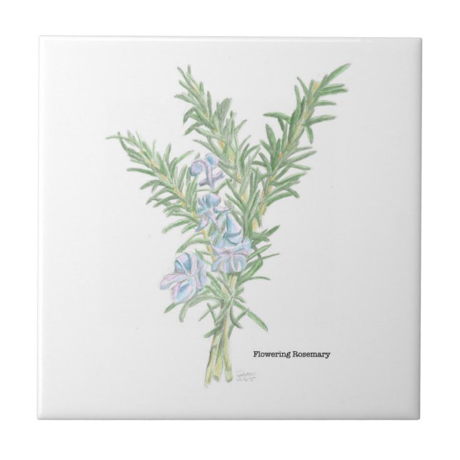 Flowering Rosemary Tile (Front)