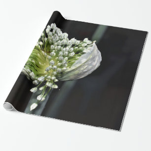 Flowering Spring Onion Wrapping Paper