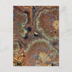 Flowering Tube Onyx Postcard