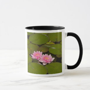 Flowering water lilies mug