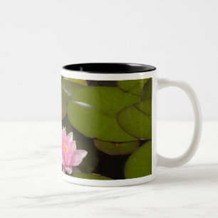 Flowering water lilies Two-Tone coffee mug