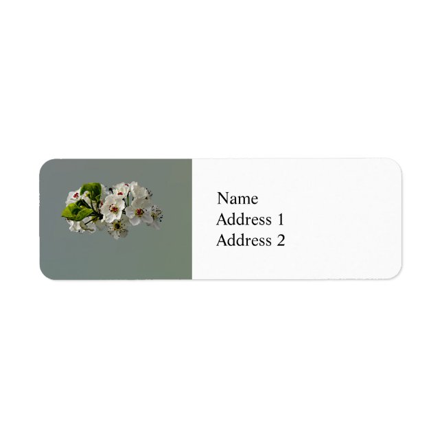 Flowering White Pear Blossoms (Front)