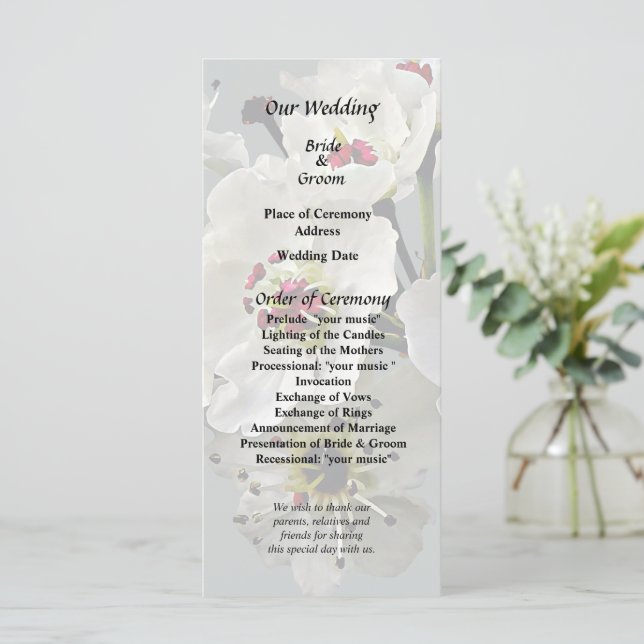 Flowering White Pear Blossoms Program (Standing Front)