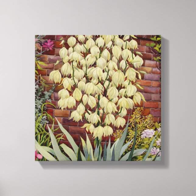 Flowering Yucca Canvas Print (Front)