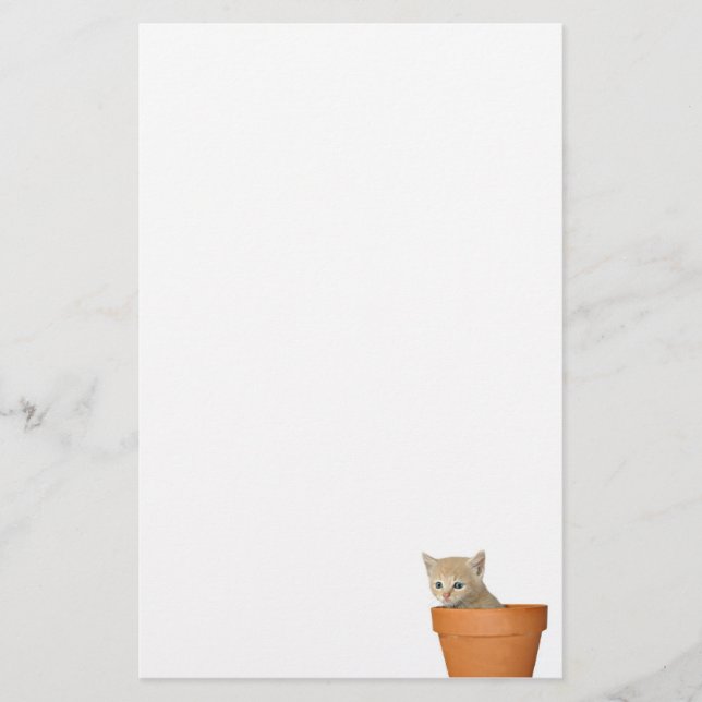 Flowerpot kitten stationery (Front)