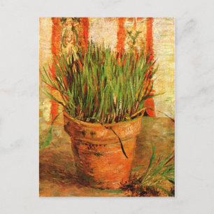 Flowerpot with Chives (F337) Van Gogh Fine Art Postcard