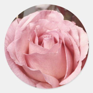 Flowers 137 classic round sticker