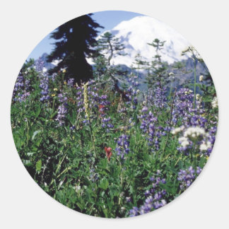 Flowers 139 classic round sticker