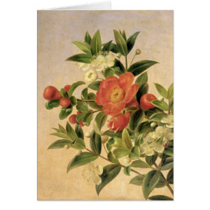 Flowers, 1835