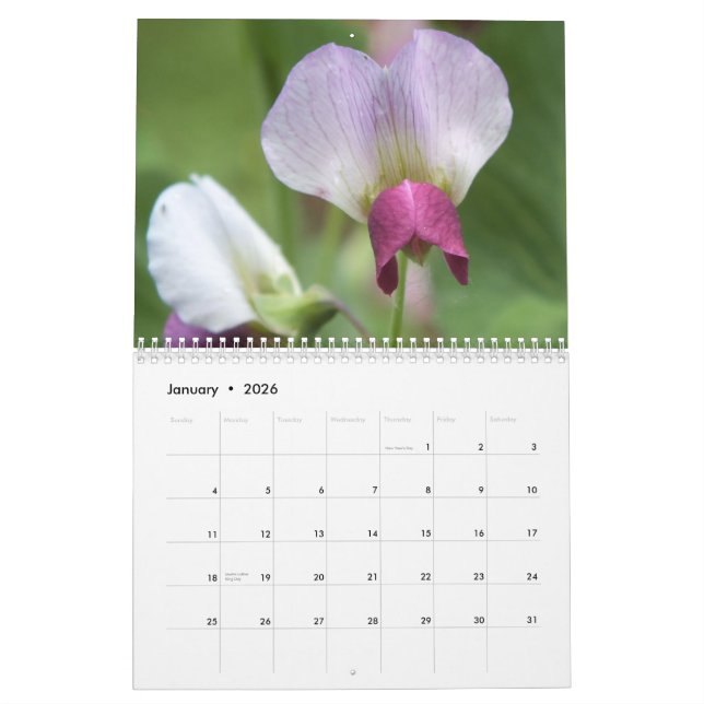 FLOWERS 2013 CALENDAR (16 MONTHS) (Jan 2026)