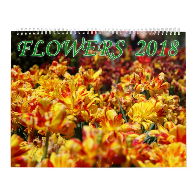 Flowers 2018 calendar (Cover)