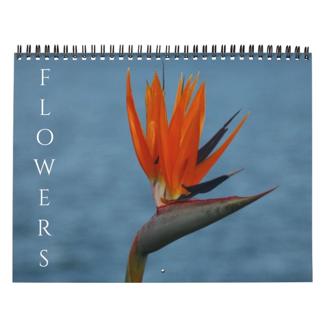 flowers 2027 calendar (Cover)