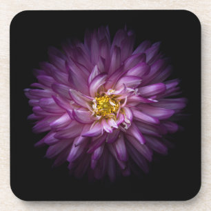 Flowers 20 coaster