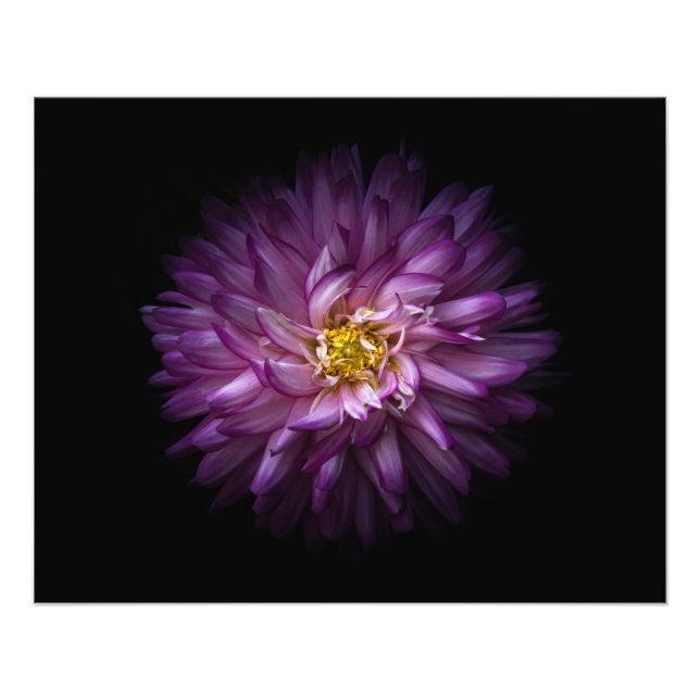 Flowers 20 photo print (Front)