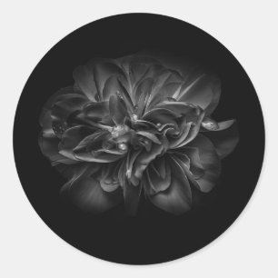 Flowers 67 BW Classic Round Sticker