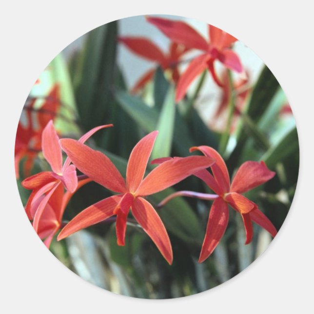 Flowers 99 classic round sticker (Front)