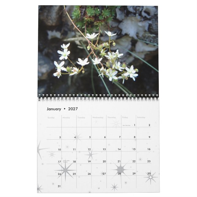 Flowers , A Year of Colour Calendar (Jan 2027)