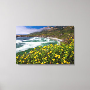 Flowers Above Sand Dollar Beach Canvas Print