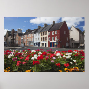 Flowers Along A Street In A Residential Area Poster