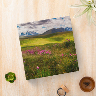 Flowers   Altai Mountains, Siberia, Russia Binder