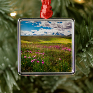 Flowers Altai Mountains, Siberia, Russia Metal Ornament