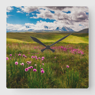 Flowers   Altai Mountains, Siberia, Russia Square Wall Clock