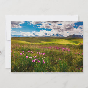 Flowers Altai Mountains, Siberia, Russia Thank You Card