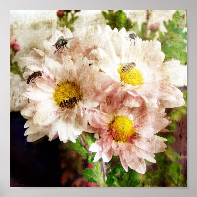Flowers and Bees Poster (Front)