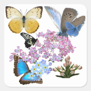 Flowers And Butterflies : A new biggening Square Sticker