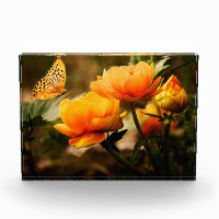 Flowers and Butterfly