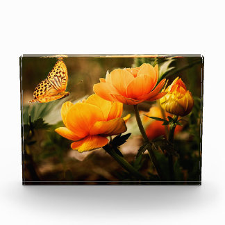 Flowers and Butterfly Photo Block