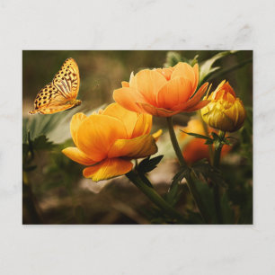 Flowers and butterfly postcard