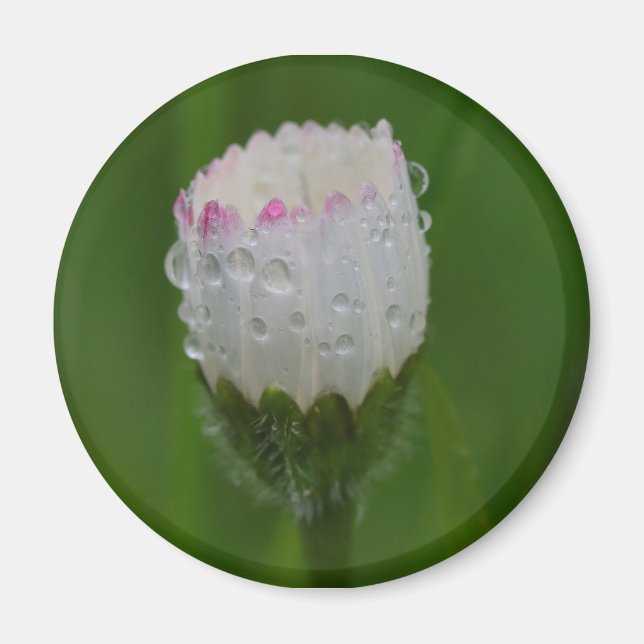 Flowers and drops of water magnet (Front)