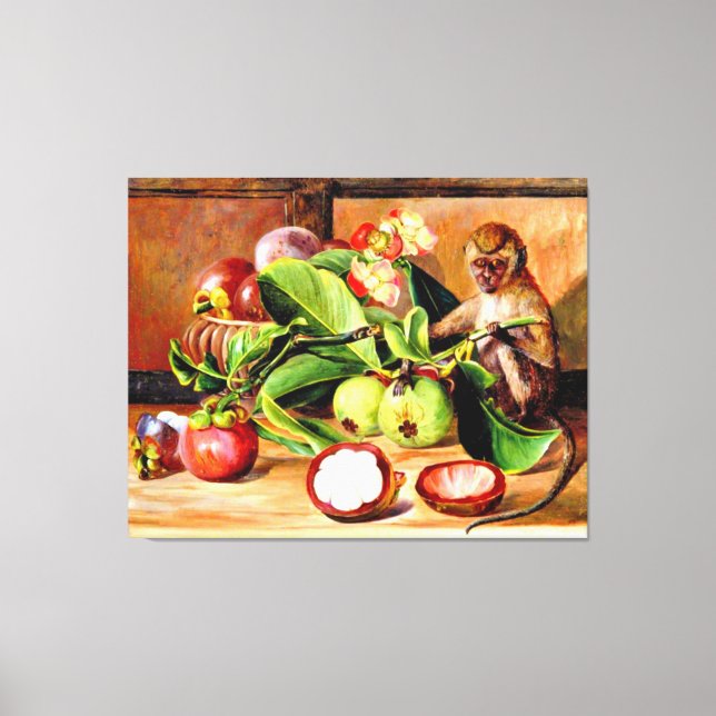 Flowers and fruit of Mangosteen; Singapore Monkey Canvas Print (Front)