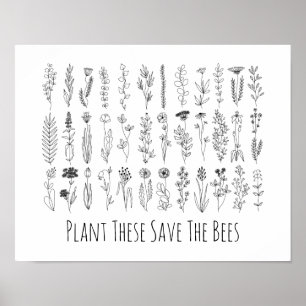 Flowers And Herbs Ink Drawing Poster