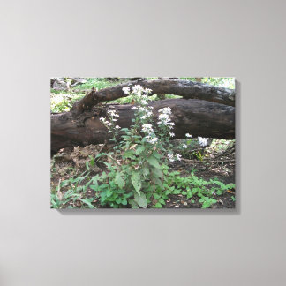 Flowers and Log Canvas Wrapped Print