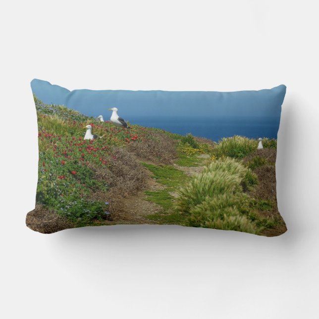 Flowers and Seagulls on Anacapa Island Lumbar Pillow (Front)