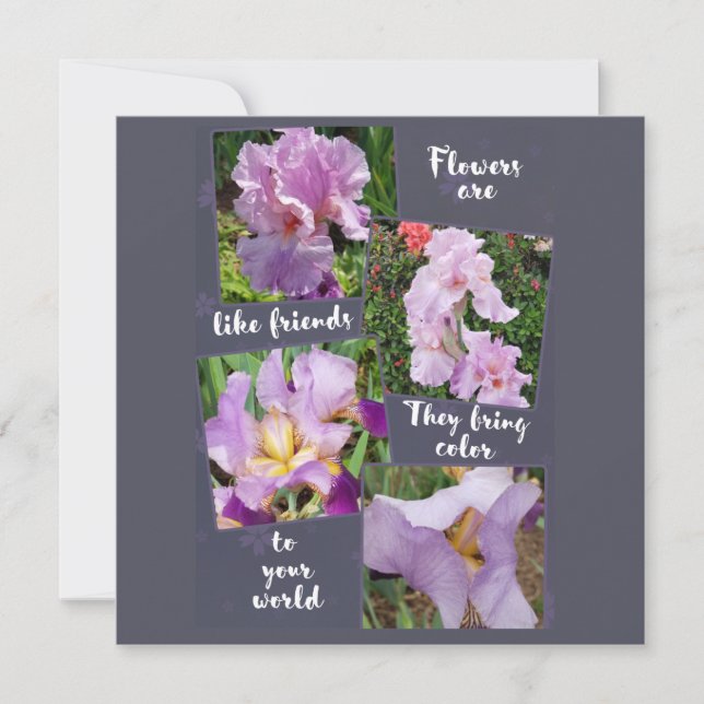 Flowers are like Friends   (Front)