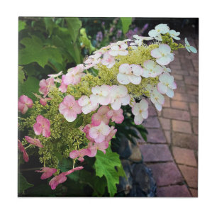 Flowers at Chateau Morrisette Winery, Floyd, VA Tile