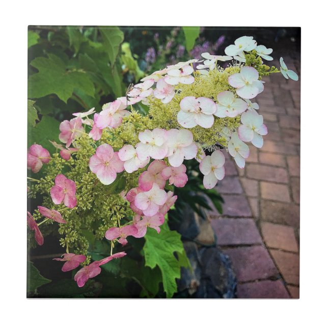 Flowers at Chateau Morrisette Winery, Floyd, VA Tile (Front)